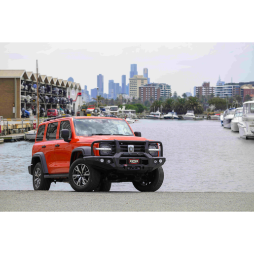 RAXAR Looped Bull Bar for GWM Tank 300