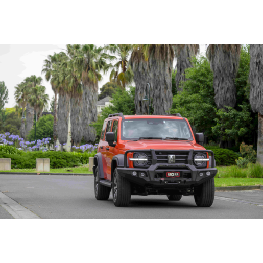 RAXAR Looped Bull Bar for GWM Tank 300
