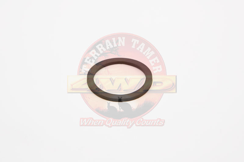 O RING THERMOSTAT