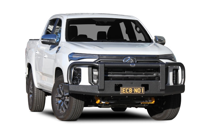 LDV T60 MAX Two Post Winch Bar (09/21 to )