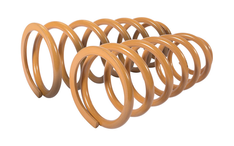Tough Dog raised coil springs