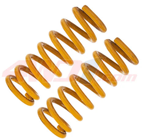 Tough Dog Front Coil Springs Dodge Ram 2500 DJ II 2020+ (Pair)